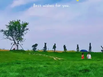 http://oss.jp.cjn.cn/images/20230524/1684917036275091a0c33-4053-4bd4-ae33-54e7d7b0e491.jpg