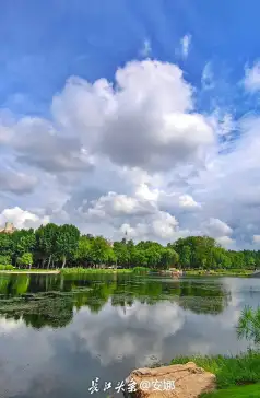 http://oss.jp.cjn.cn/images/20230802/1690952004091ae6b48ea-fa80-4b71-a019-ade56338c045.jpg