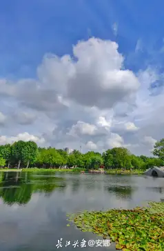 http://oss.jp.cjn.cn/images/20230802/1690952010955617ae65e-bbf4-442a-9519-2f74855cf1a3.jpg