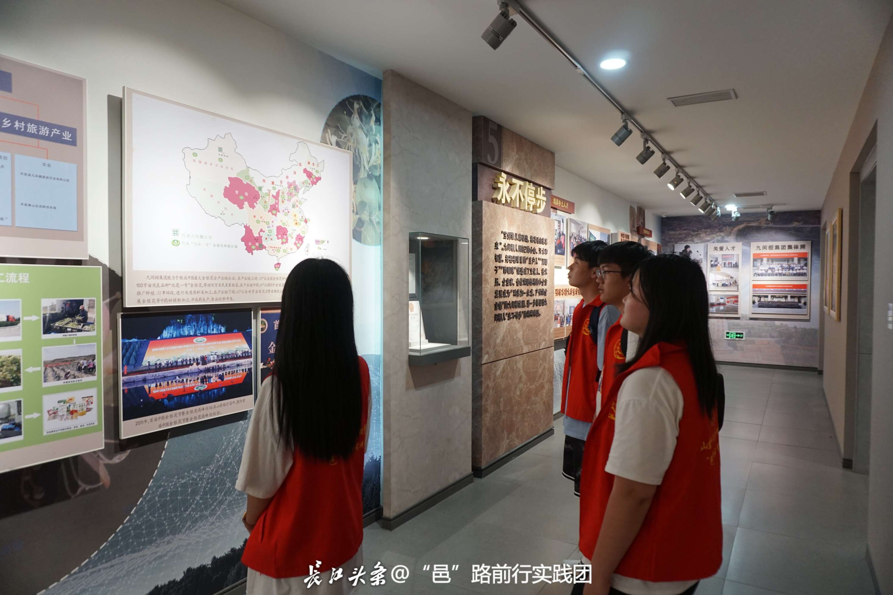 14研学金银花1.JPG