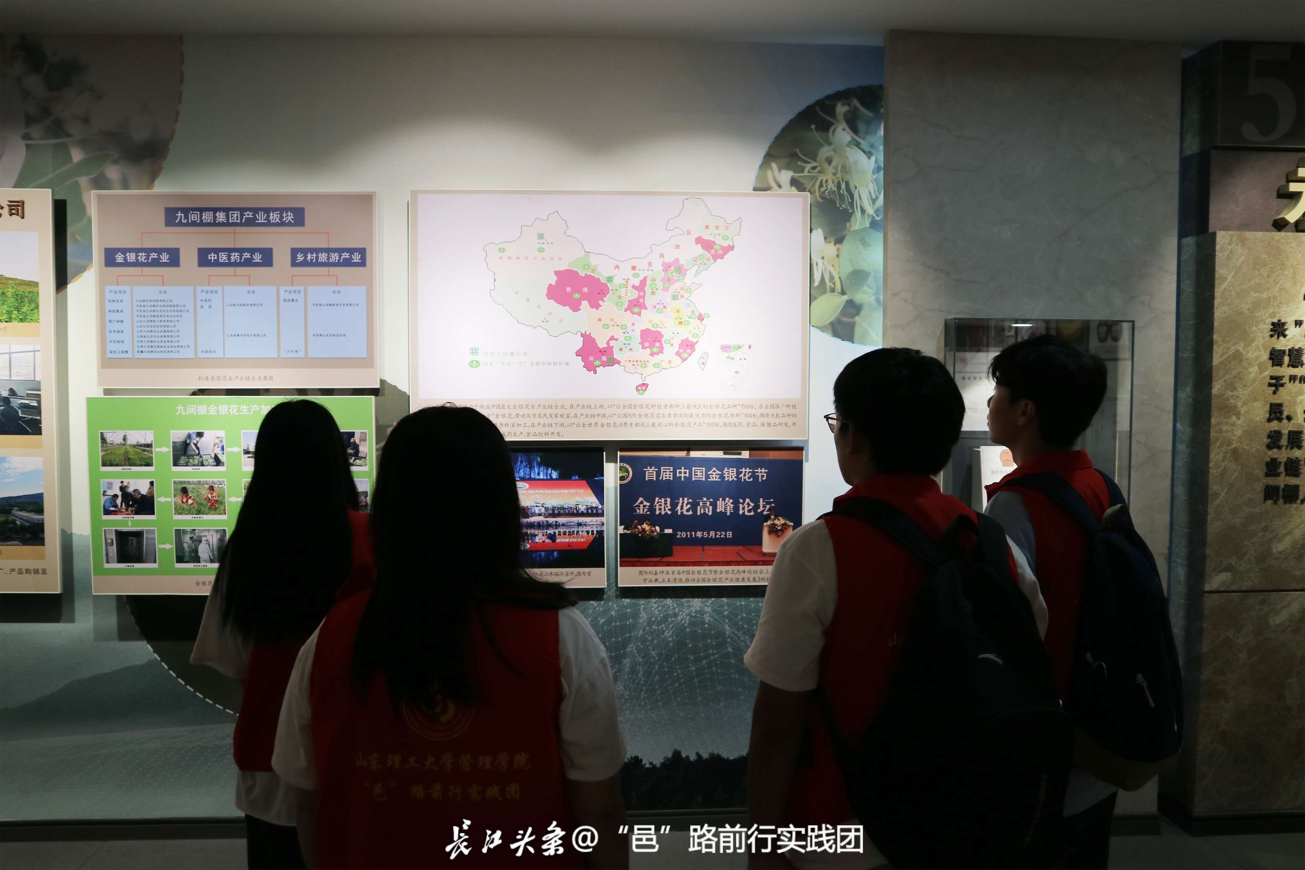 15研学金银花2.JPG