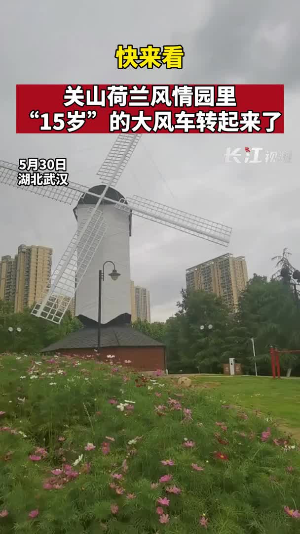 快来看,关山荷兰风情园里"15岁"的大风车转起来了