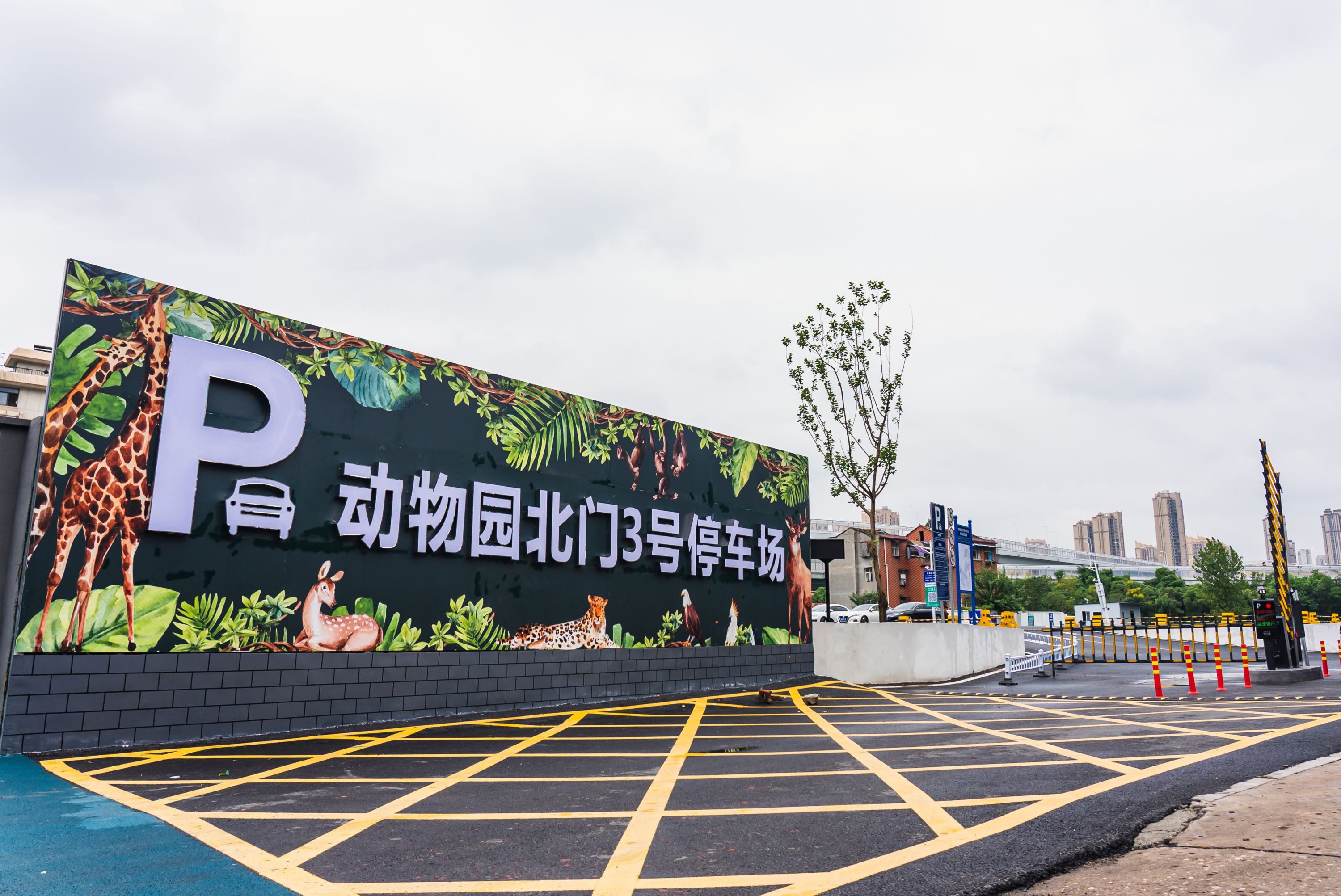 "挤出"更多停车位,假日开通公交专线,以后去动物园将更方便 - 武汉市