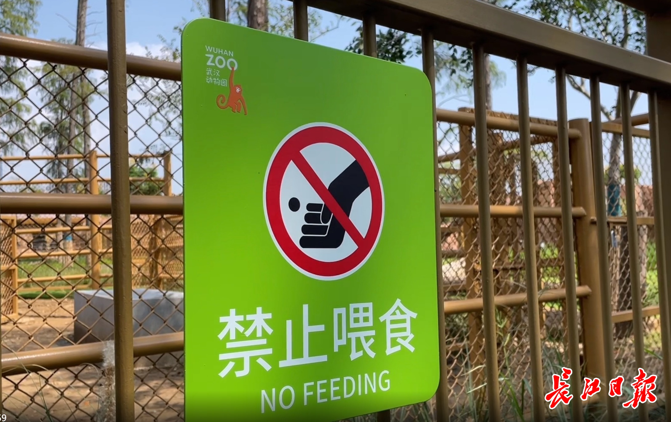 禁止喂食标识牌武汉动物园相关负责人表示,希望大家关注场馆内的